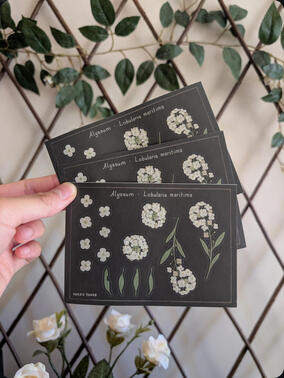 Alyssum Mini Sticker Sheet